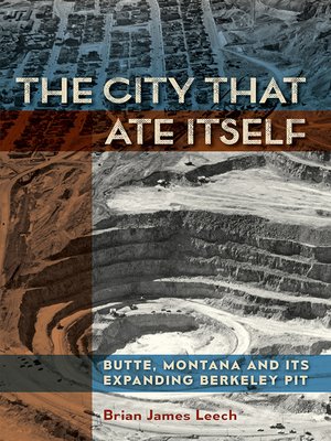 cover image of The City That Ate Itself